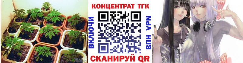 Дистиллят ТГК концентрат  Купить закладки  Емва 