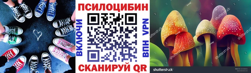 Галлюциногенные грибы Cubensis  Купить закладки  Емва 